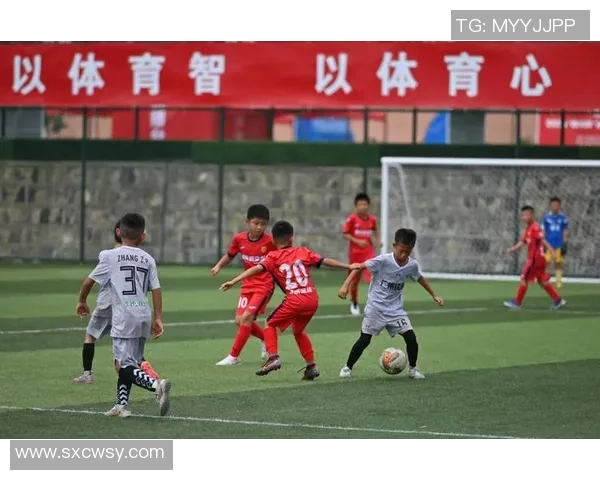 追逐足球梦想的少年男孩与海外明星的故事